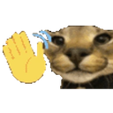 Floppahey emoji