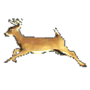 Deer Run emoji