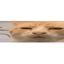 Widehuh emoji