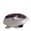 Wawa emoji