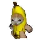 Bananacatrun emoji