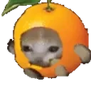 Orangecatrun emoji