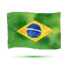 Flag Brasil emoji