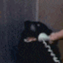 Hello This Is Dog emoji