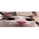 Plink emoji