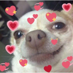 Dogfeelloved emoji