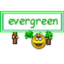 Evergreen emoji