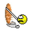 Kebab Slice emoji