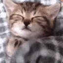 Sleepo emoji