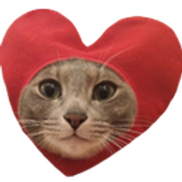 Heartcat emoji