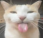 Blehhhh emoji