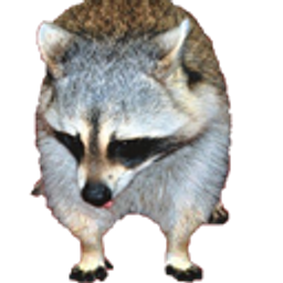 Sad Raccoon emoji