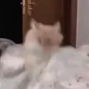 Catbanger emoji