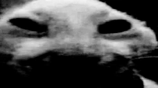 Xdddespair emoji