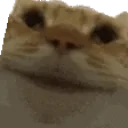 Maybemaybe emoji