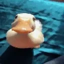 Duckkiss emoji