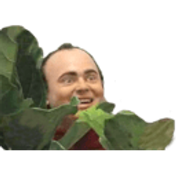 Hide N Spagett emoji