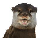 Rare Otter emoji