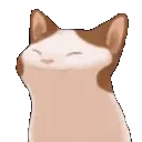 Popcatvibe emoji
