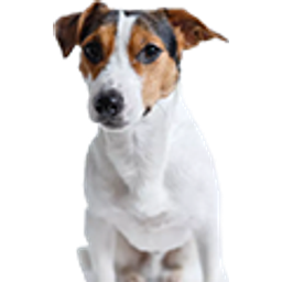 Jack Russell emoji