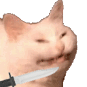 Cattostabbing emoji