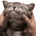 Squish emoji