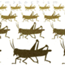Locust Swarm emoji