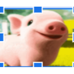 Winkypig emoji