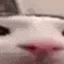 Plink2 emoji