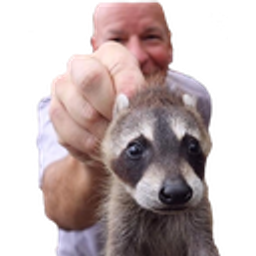 Lilraccoon emoji