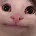 Catok emoji
