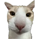 Ayri emoji