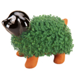 Chia Pet emoji