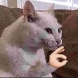 Ok Cat emoji