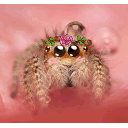 Spider Blush emoji