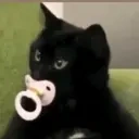 Catbaby emoji