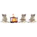 Catcookingjoelonacampfirewithhisfriends emoji