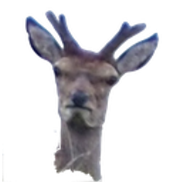 Angrydeerhead emoji