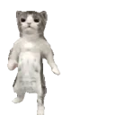 Catgroove emoji