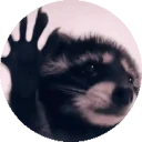 Raccoonjam emoji