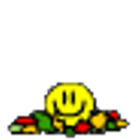 Jump Leaves emoji