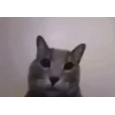 Faku emoji