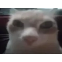 Hipopotomonstrosesquipedaliofobiamiedoalaspalabraslargasxdquependejoslosquepuesieronesenombre emoji