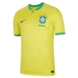 Brazil Jersey emoji