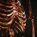 Skeletonbozo emoji
