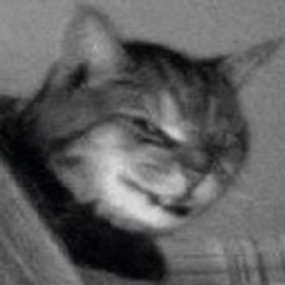 Cat Snarl emoji