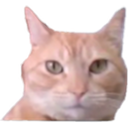 Eli Cat emoji