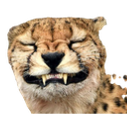 Cheetahsmile emoji