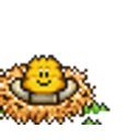 Nest Knuddels emoji