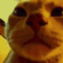 Cat Vibin emoji